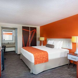 Chambre Lit King-Size